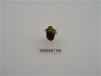 藏品(黃豔金龜)的圖片